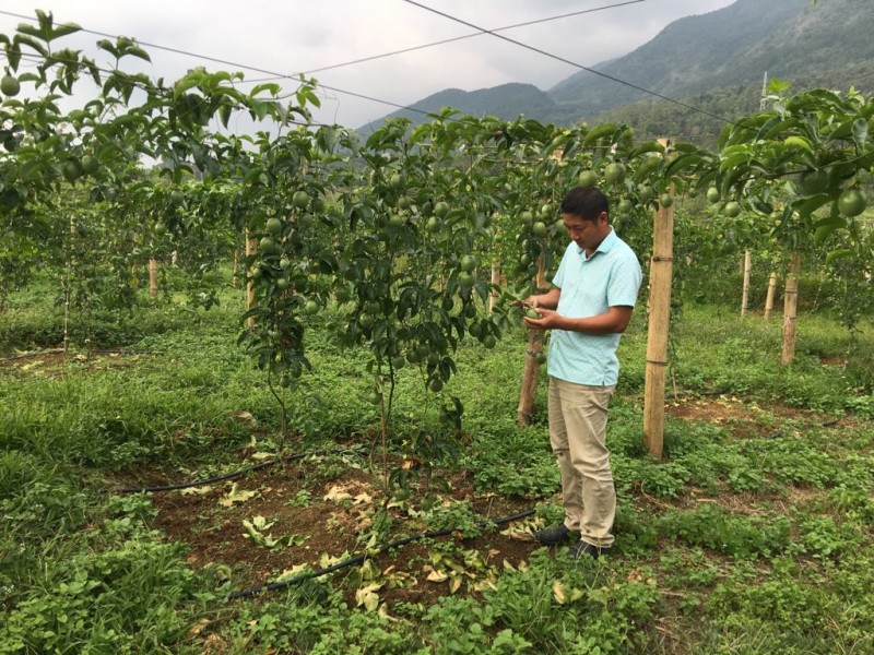 (Ảnh: Bạch Dương) (Ảnh: Bạch Dương)