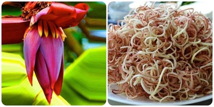 Ảnh minh họa Ảnh minh họa