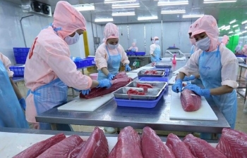 Không để xuất khẩu thủy sản tuột mốc 10 tỷ USD