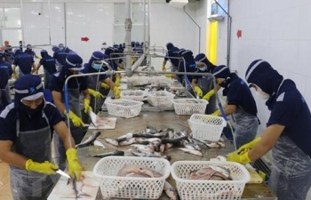 Trung Quốc là thị trường xuất khẩu lớn nhất của nông, lâm, thủy sản