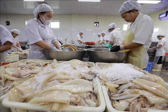 Không để xuất khẩu thủy sản tuột mốc 10 tỷ USD