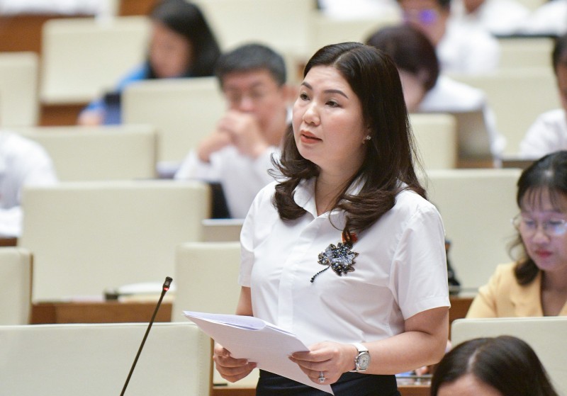 Dự thảo Luật Đất đai (sửa đổi): Chưa khắc phục được căn cơ các vấn đề bất cập Dự thảo Luật Đất đai (sửa đổi): Chưa khắc phục được căn cơ các vấn đề bất cập