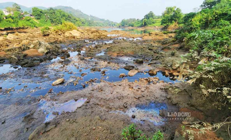 Điểm tin Công Thương - Pháp luật 4/11 Điểm tin Công Thương - Pháp luật 4/11