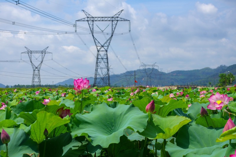 EVNNPT phấn đấu hoàn thành toàn diện các nhiệm vụ được giao EVNNPT phấn đấu hoàn thành toàn diện các nhiệm vụ được giao