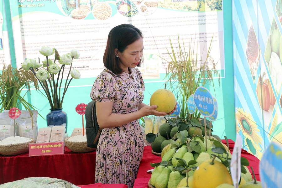 Thái Bình: Phát huy vai trò chủ thể của nông dân trong xây dựng nông thôn mới