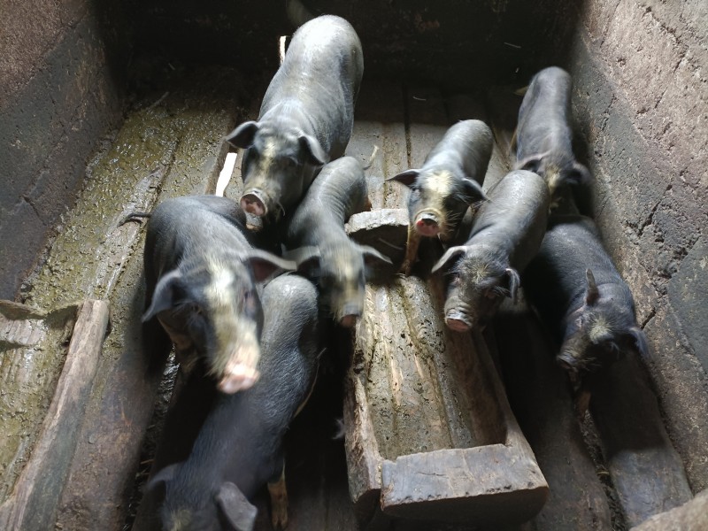 Ngành Công Thương có hơn 2.000 nhà máy điện, cơ sở sản xuất vào danh sách kiểm kê khí nhà kính Ngành Công Thương có hơn 2.000 nhà máy điện, cơ sở sản xuất vào danh sách kiểm kê khí nhà kính