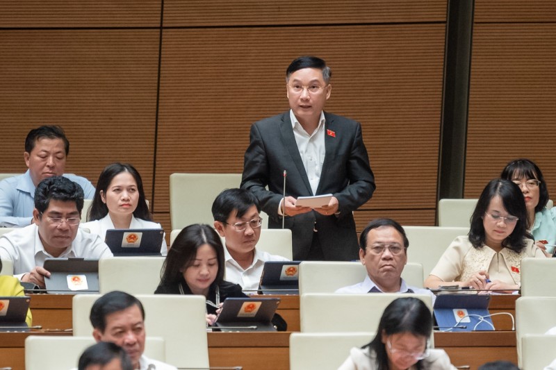 Trách nhiệm trình dự án đầu tư không chính xác thuộc về ai? Trách nhiệm trình dự án đầu tư không chính xác thuộc về ai?