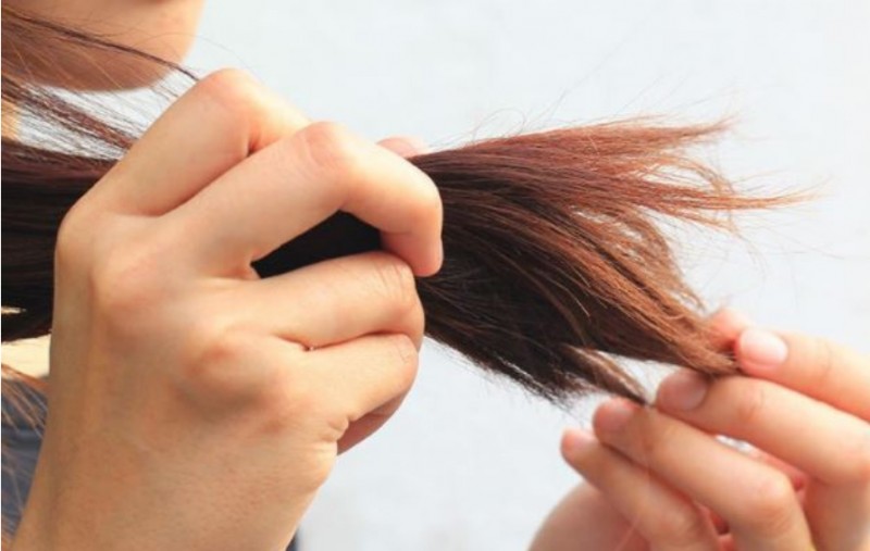 Ảnh minh họa Ảnh minh họa