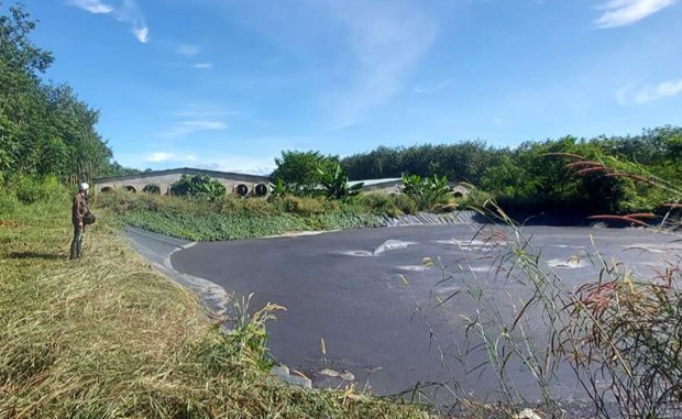 Kon Tum: Người dân bức xúc vì trại nuôi lợn gây ô nhiễm môi trường hình ảnh 1 Kon Tum: Nguoi dan buc xuc vi trai nuoi lon gay o nhiem moi truong hinh anh 1