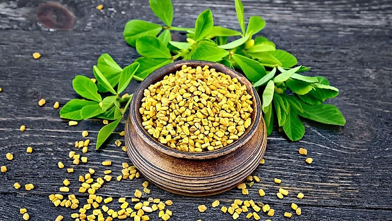 Hạt cỏ cà ri đã nổi tiếng nhờ khả năng giảm rụng tóc và thúc đẩy sự phát triển của tóc Hạt cỏ cà ri đã nổi tiếng nhờ khả năng giảm rụng tóc và thúc đẩy sự phát triển của tóc