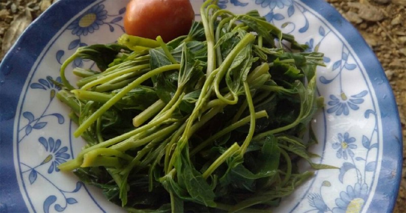 Rau lang luộc - món ăn ngon và bổ dưỡng. Ảnh minh họa Rau lang luộc - món ăn ngon và bổ dưỡng. Ảnh minh họa