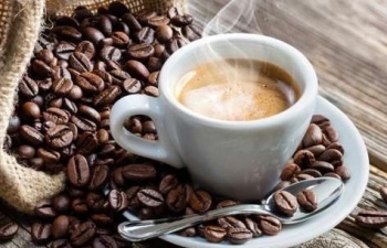 Giá cà phê mới nhất ngày 9/11/2023: Thị trường trong nước giảm 1.300 - 1.400 đồng/kg