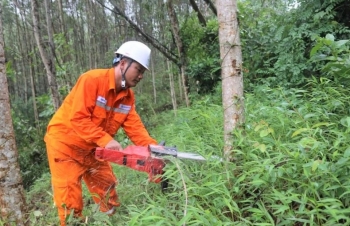 Nghệ An tăng cường đảm bảo an toàn lưới điện trong mùa mưa bão