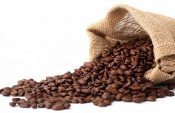 Giá cà phê mới nhất ngày 10/11/2023: Thị trường trong nước tăng 800 đồng/kg