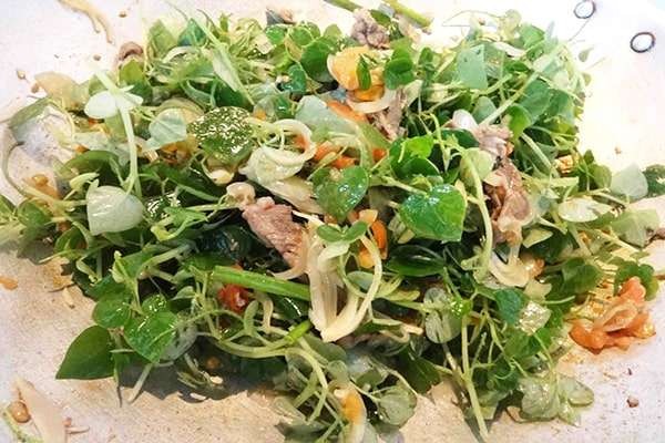 Rau càng cua là một vị thuốc. Ảnh caythuoc.org Rau càng cua là một vị thuốc. Ảnh caythuoc.org