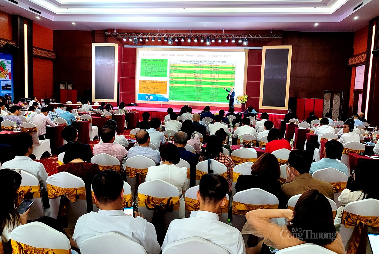 Thứ trưởng Phan Thị Thắng: Lào Cai cần đẩy mạnh đổi mới sáng tạo, chuyển đổi số trong lĩnh vực logistics Thứ trưởng Phan Thị Thắng: Lào Cai cần đẩy mạnh đổi mới sáng tạo, chuyển đổi số trong lĩnh vực logistics