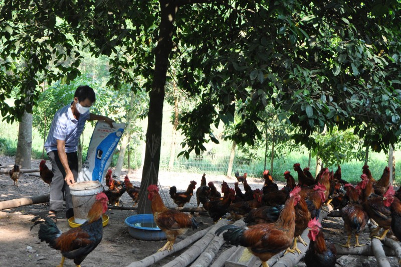 Ảnh: BTN Ảnh: BTN