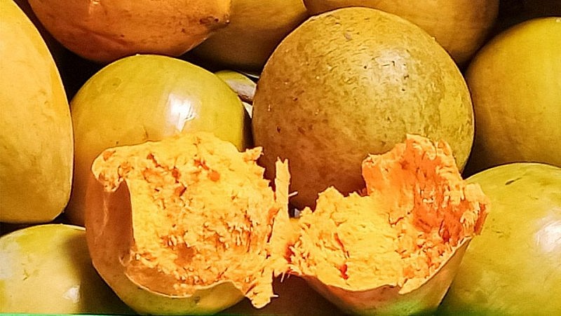 Quả trứng gà có hàm lượng dinh dưỡng cao. Ảnh minh họa Quả trứng gà có hàm lượng dinh dưỡng cao. Ảnh minh họa