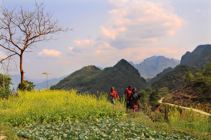 Bí kíp đi du lịch Tà Xùa từ A-Z không thể bỏ qua Bí kíp đi du lịch Tà Xùa từ A-Z không thể bỏ qua