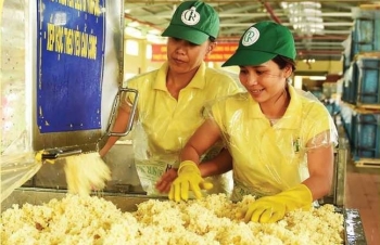 Giá cao su trở lại xu thế giảm mạnh toàn thị trường