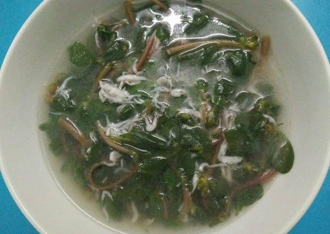 Rau sam thường được sử dụng trong các món canh. Ảnh minh họa