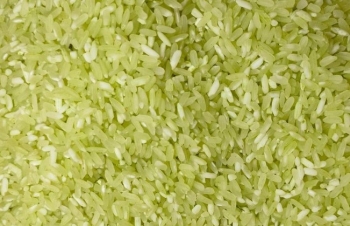 “Nhuộm áo” cho gạo Séng Cù: Đừng để màu sắc đánh lừa tri giác