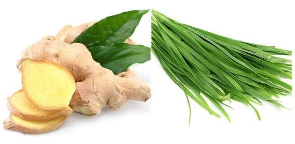 các bài thuốc từ lá hẹ tươi có thể được sử dụng cho cả trẻ em và người lớn các bài thuốc từ lá hẹ tươi có thể được sử dụng cho cả trẻ em và người lớn