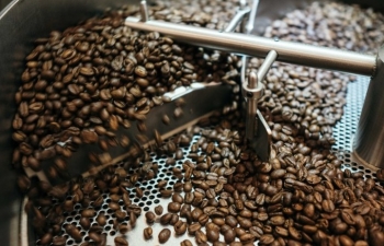 Giá cà phê mới nhất ngày 16/11/2023: Thị trường trong nước giảm nhẹ 200 - 300 đồng/kg