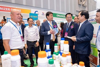 Xúc tiến thương mại, phát triển thị trường xuất khẩu sản phẩm hóa chất