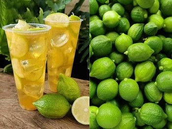 Trà chanh giã tay - đồ uống 