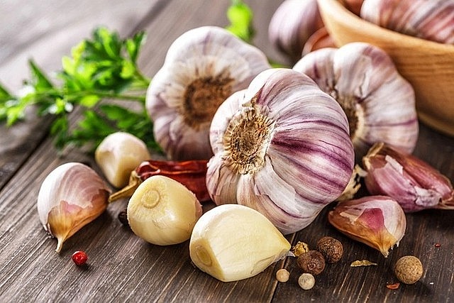 Tỏi là một trong những loại gia vị nấu ăn phổ biến nhất và được nghiên cứu nhiều nhất. Ảnh minh họa Tỏi là một trong những loại gia vị nấu ăn phổ biến nhất và được nghiên cứu nhiều nhất. Ảnh minh họa