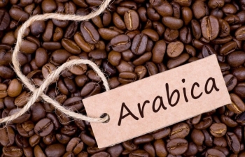 Giá cà phê Arabica có thể giảm trước tín hiệu tích cực về nguồn cung