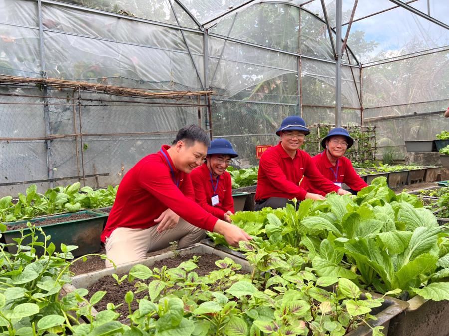 Ph&acirc;n B&oacute;n C&agrave; Mau tặng vườn ươm v&igrave; m&agrave;u xanh Trường Sa.