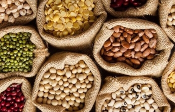 Khô đậu lao dốc, dẫn đầu đà giảm của nhóm nông sản