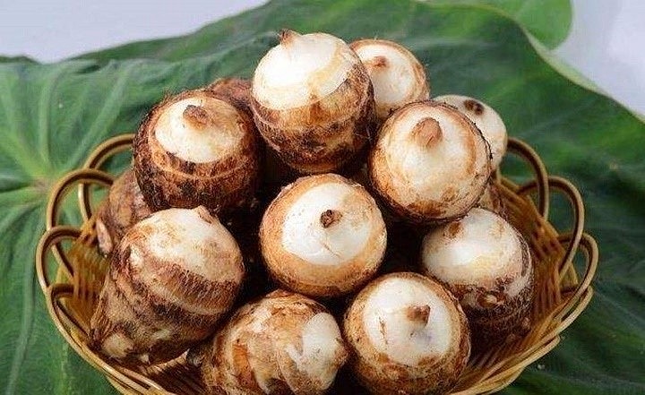 Khoai sọ rất giàu dinh dưỡng, tốt cho sức khỏe.