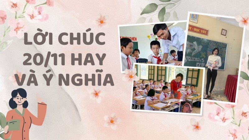 Gợi ý những lời chúc 20/11 dành tặng thầy cô hay và ý nghĩa