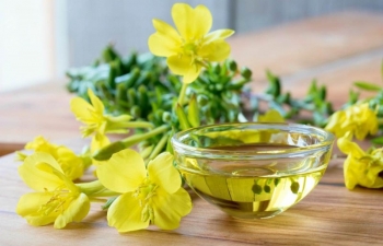 Dầu hoa anh thảo: Mỹ phẩm thiên nhiên làm đẹp da hữu ích?