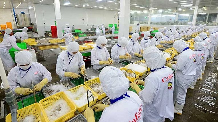 xuất khẩu thủy sản xuất khẩu thủy sản