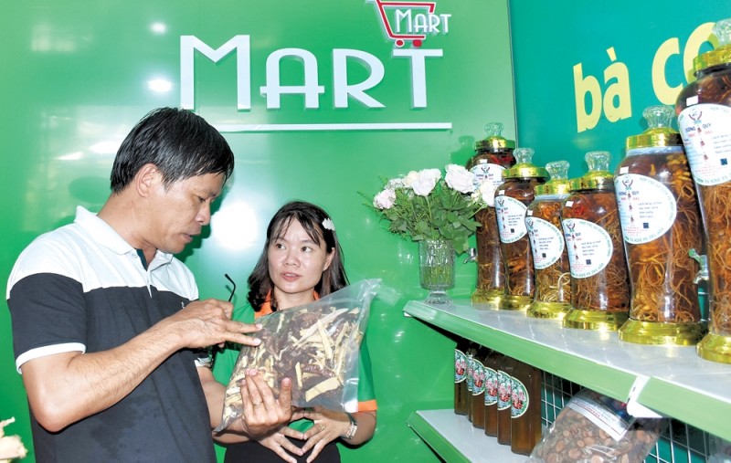 Sản phẩm dược liệu được các hợp tác xã ở huyện Sơn Tây đăng ký nhãn (Ảnh: Ý Thu) Sản phẩm dược liệu được các hợp tác xã ở huyện Sơn Tây đăng ký nhãn (Ảnh: Ý Thu)