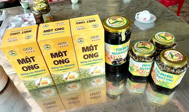 Ninh Bình: Triển khai có hiệu quả Chương trình OCOP Ninh Bình: Triển khai có hiệu quả Chương trình OCOP