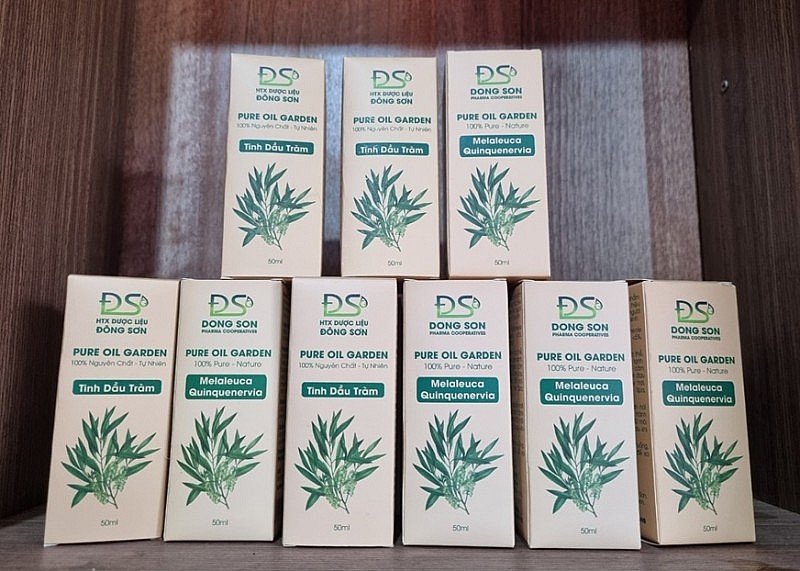 Ninh Bình: Triển khai có hiệu quả Chương trình OCOP Ninh Bình: Triển khai có hiệu quả Chương trình OCOP