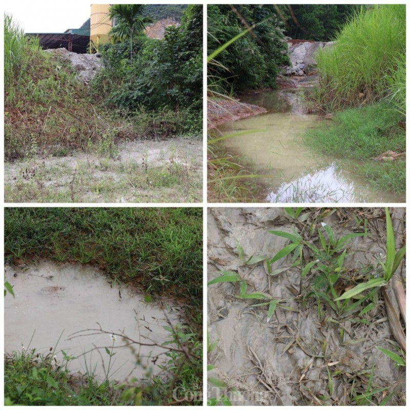 Hoà Bình: Nỗi thống khổ khi sống gần mỏ đá, trạm trộn bê tông Hoà Bình: Nỗi thống khổ khi sống gần mỏ đá, trạm trộn bê tông