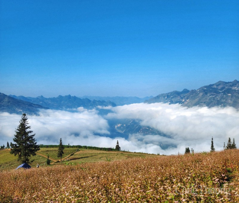Thảo nguyên Suôi Thầu - “Thụy Sĩ thu nhỏ” ở tỉnh Hà Giang Thảo nguyên Suôi Thầu - “Thụy Sĩ thu nhỏ” ở tỉnh Hà Giang