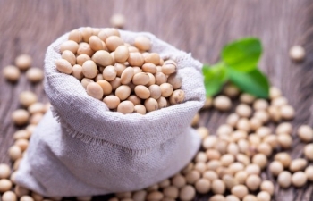 BAGE cho biết vụ đậu tương ở Argentina đang ở tình trạng tốt