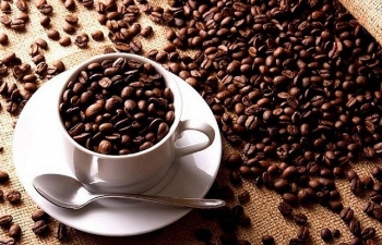 USDA hạ ước tính nguồn cung cà phê niên vụ 2023/24 của Việt Nam