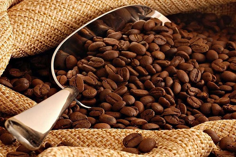 Giá cà phê trong nước ngày 25/11 tiếp tục giảm. Ảnh minh họa Giá cà phê trong nước ngày 25/11 tiếp tục giảm. Ảnh minh họa