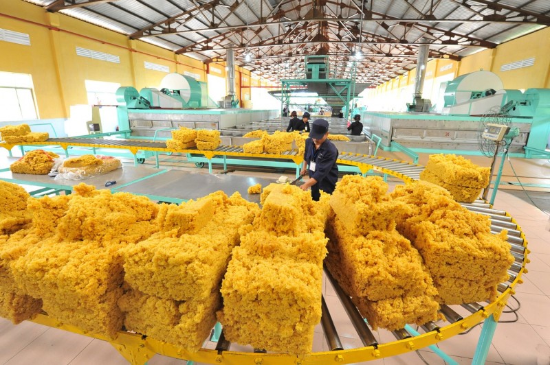 Giá cao su sẽ biến động mạnh trong tháng cuối năm Giá cao su sẽ biến động mạnh trong tháng cuối năm