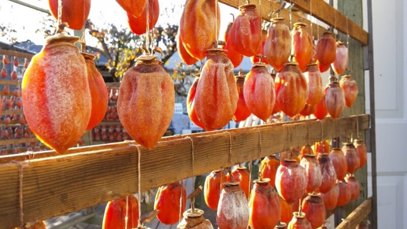 Không chỉ ghi điểm bởi độ ngon, ngọt đặc trưng mà quả hồng còn đem đến vô vàn lợi ích cho người tiêu dùng. Ảnh minh họa Không chỉ ghi điểm bởi độ ngon, ngọt đặc trưng mà quả hồng còn đem đến vô vàn lợi ích cho người tiêu dùng. Ảnh minh họa