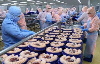 Việt Nam cung cấp tôm lớn thứ hai thế giới, xuất khẩu tới 100 quốc gia