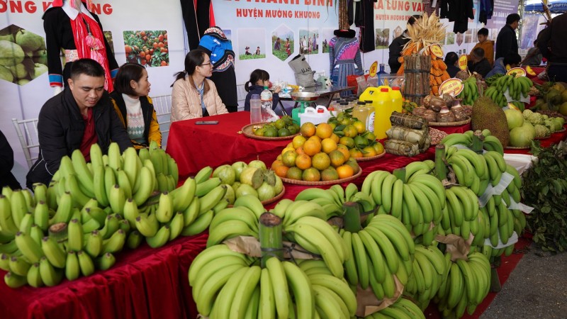 Chuối Mường Khương được bán tại Phiên chợ văn hoá thúc đẩy tiêu thụ sản phẩm vùng dân tộc thiểu số và miền núi tỉnh Lào Cai (Ảnh: MA – MC) Chuối Mường Khương được bán tại Phiên chợ văn hoá thúc đẩy tiêu thụ sản phẩm vùng dân tộc thiểu số và miền núi tỉnh Lào Cai (Ảnh: MA – MC)
